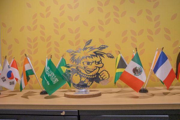 Flags of different countries surround WuShock in the office of international education. The office of international education locates at the Shocker Success Center.