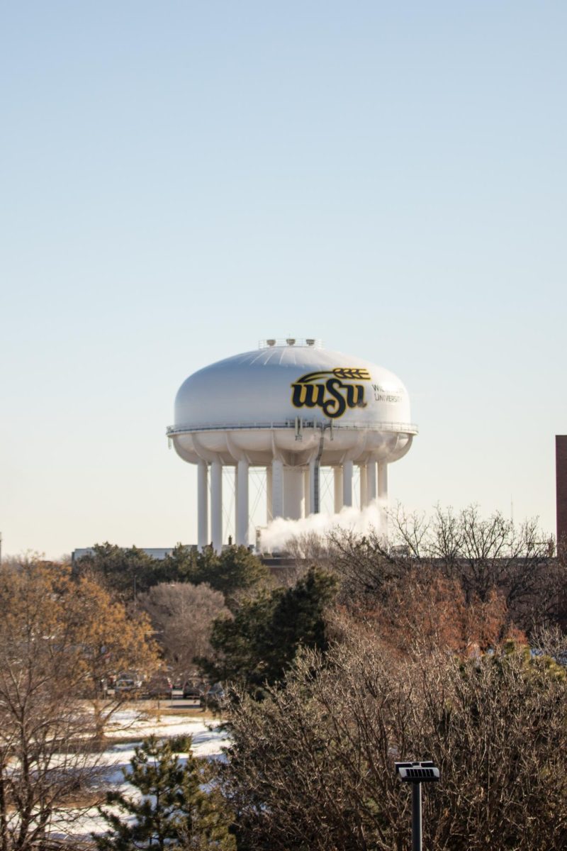 The Wichita State University water tower stands on Wednesday, Jan. 22.