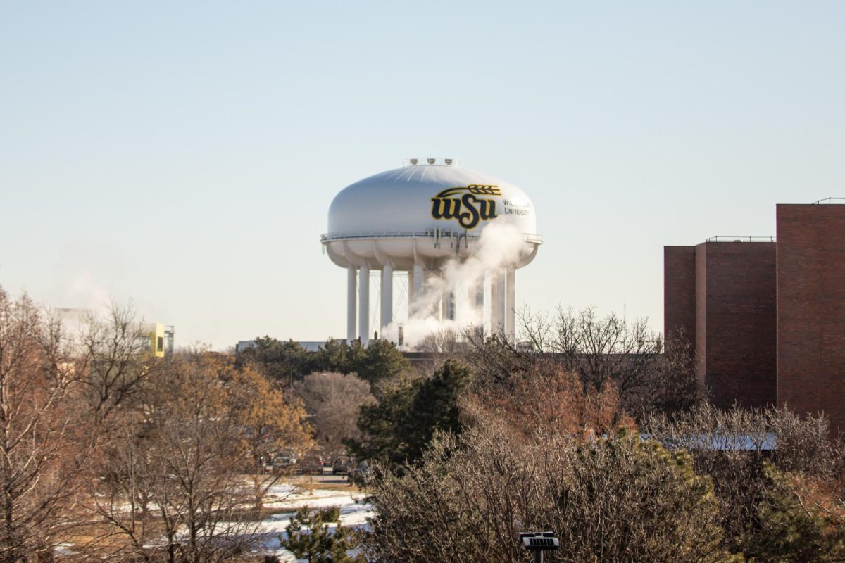 The Wichita State University water tower stands on Wednesday, Jan. 22.