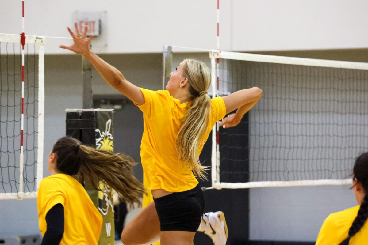 Sophomore middle blocker Allie Paulsen goes up to spike the ball at practice on Aug. 4. Paulsen appeared in five matches last year and made eight kills.
