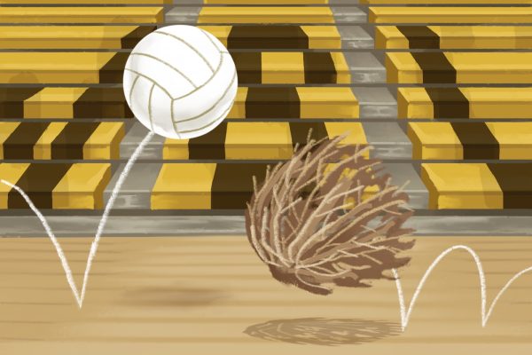 (Illustration)