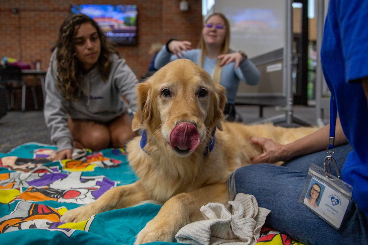 Therapy dog Ava licks her own nose at PAWS and Relax, which took place at the Ablah Library on Aug. 27. The event was hosted by WSU libraries and CHP Success Team.