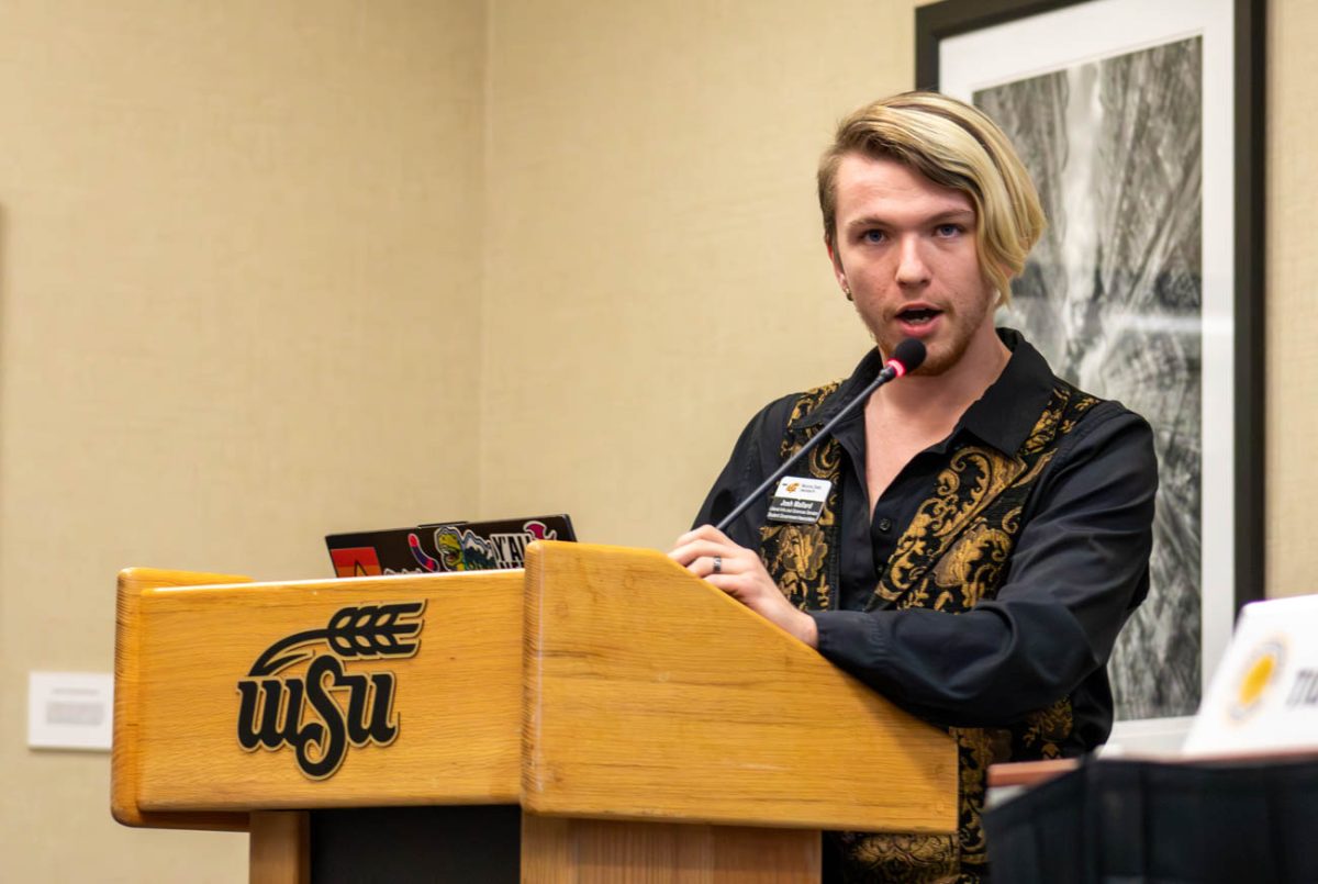 Senator Josh Mallard addresses the assembly at a Student Senate meeting. (file photo)