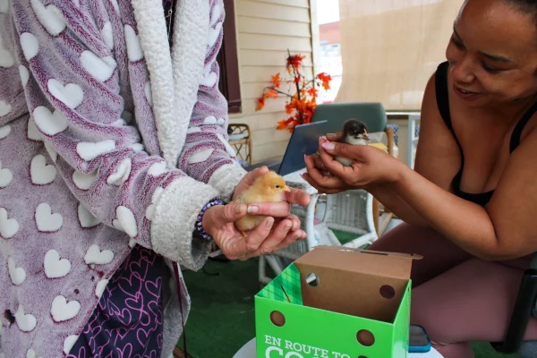 ICTTreehuggers Executive Director Sarah Myers, right, and a community member hold chicks. The community member has a home hub garden in her backyard and gives away extra produce to people who can't grow their own food. (Wichita Journalism Collaborative)